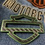 Black carbon with green front outline tank emblems for Harley