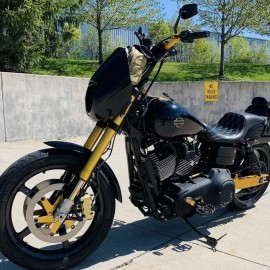 Gold carbon tank emblems for Harley