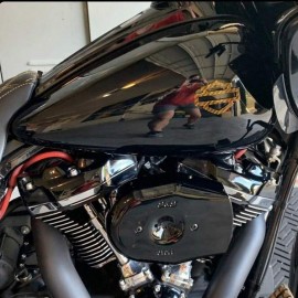 Gold carbon tank emblems for Harley