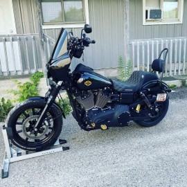 Gold tank emblems for Harley