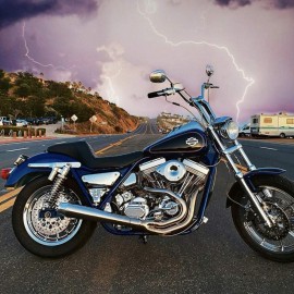 White with black edges tank emblems for Harley