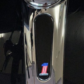 Carbon dash insert for 2009-2022