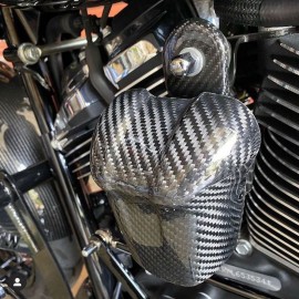 Carbon horn M8 for '09